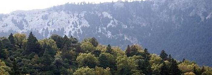 Vista de la Sierra de las Nieves. 