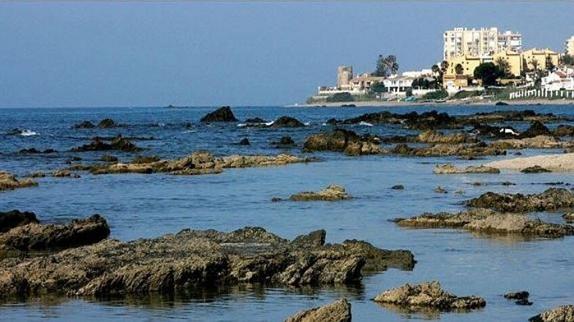 La recolección se realiza sin actuación extractiva en los fondos marinos. 