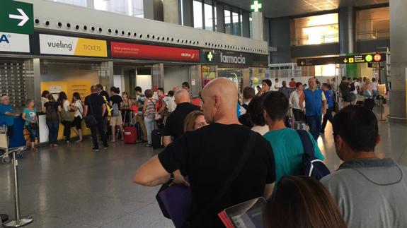 Mostradores de Vueling en el aeropuerto de Málaga. 