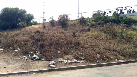 Hierbas secas y basura se acumulan en estos espacios de la calle Ceuta.