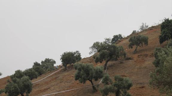 Lugar donde se localizó el cuerpo de la víctima, en la cara norte del Monte de San Antón.