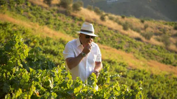 El enólogo y bodeguero malagueño Jorge Ordóñez, en una finca. 