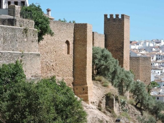 Una de las torres que se ha intervenido. :: y. a.

