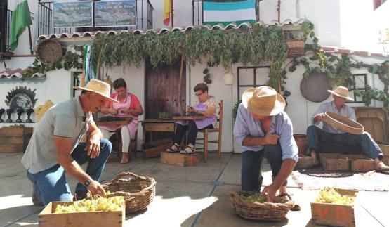 El Borge presume de ser la capital de las típicas uvas tostadas al sol de la Axarquía. 