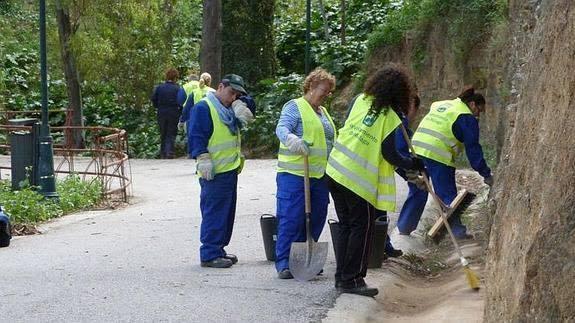 Operarios de la anterior edición realizan labores de desbroce en el monte Gibralfaro. 