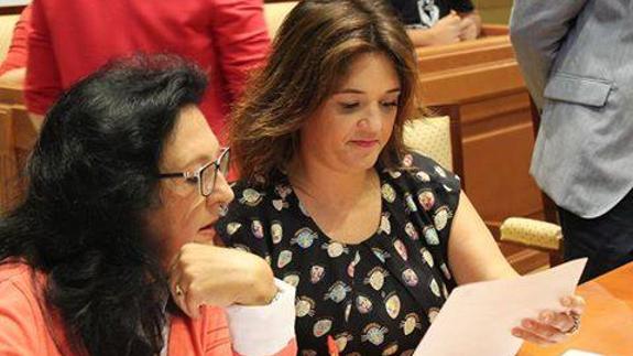 Encarnación Navarro y Margarita del Cid, durante el último pleno. 