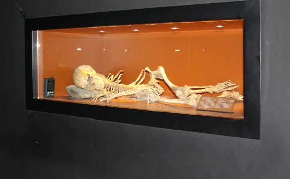 Imagen del esqueleto del Epipaleolítico dentro del museo. :: sur
