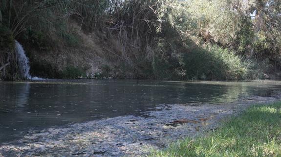 Aguas residuales en el río Guadalhorce, a su paso por el término municipal de Cártama.