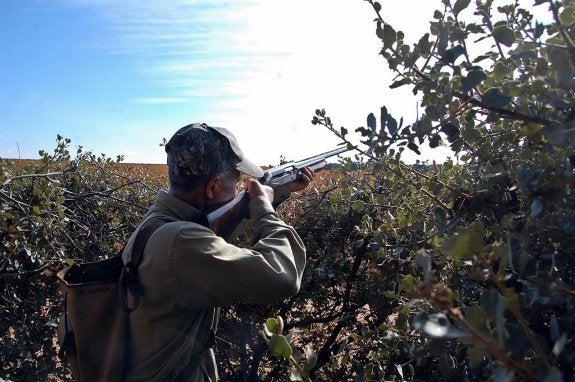 Un cazador, pertrechado en un puesto, preparado para abatir un zorzal. :: sur