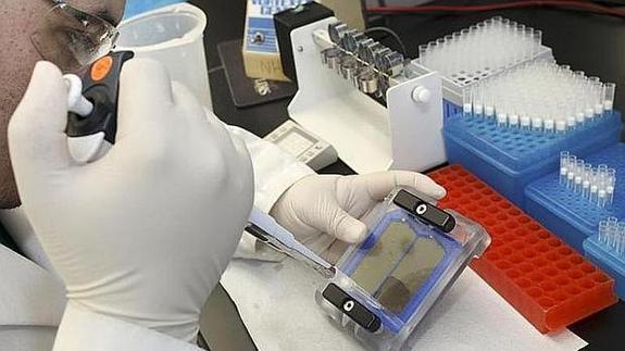 Un equipo de científicos malagueños identifican la predisposición genética en la aparición del cáncer de próstata