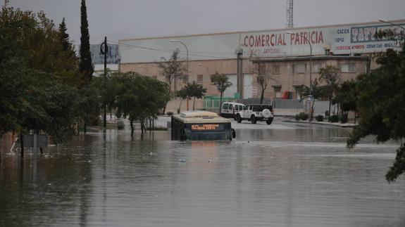 Impresionante imagen del agua caída en la capital.