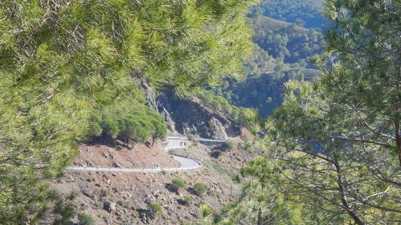 Sendero de la sierra de Aguas