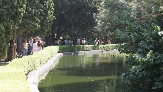 La finca El Retiro tiene un indudable valor botánico. 