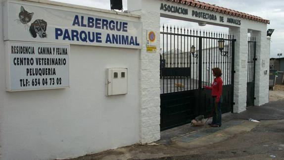 La declaración de los agentes del Seprona, clave en un caso de interés internacional
