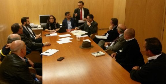 Productores piden poder vender la hoja de stevia que se produce en el país