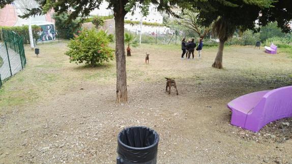 Habilitan un nuevo parque canino de 600 metros cuadrados en el centro de Rincón