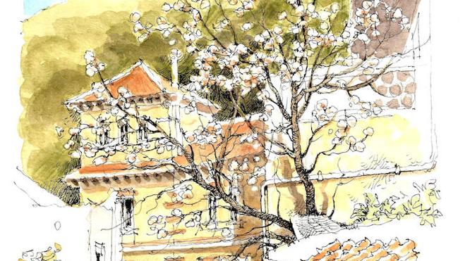 Málaga a trazos: El almendro urbanita