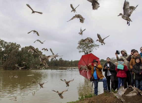 La cañada de los pájaros redivivos