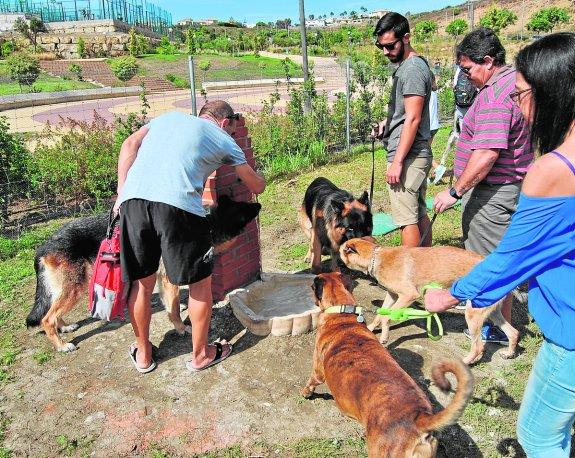 Perros con sus dueños en una fuente del parque canino de Estepona. 