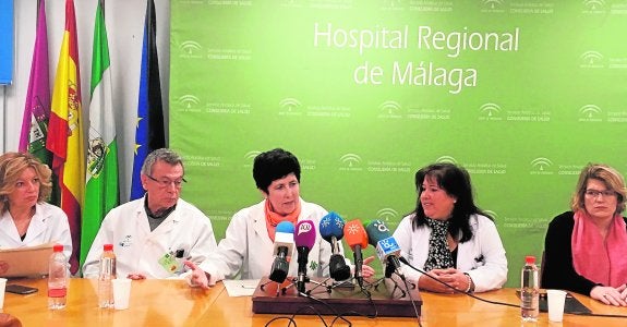 Pérez Costillas, Rivas, Lucena, De Diego y Ochotorena, ayer durante la rueda de prensa. :: sur