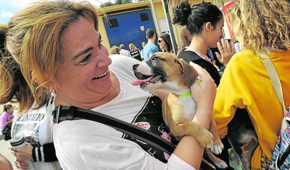 La Protectora lanza un SOS en favor de una asociación para el cuidado de caballos