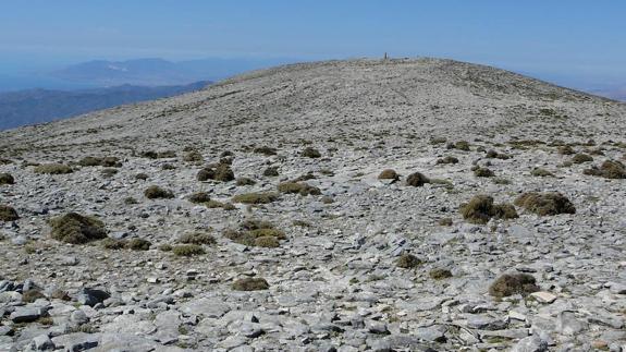 Terrenos de La Maroma, a 2.000 metros de altitud.