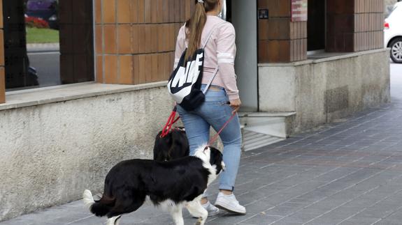 ¿Podré entrar con mi perro en cualquier local de Málaga capital?