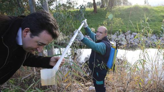 Técnicos buscando larvas de mosquitos en el río. 
