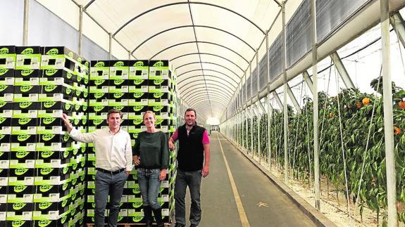 Francisco, Adelina y Antonio Salinas Clemente en uno de sus invernaderos.