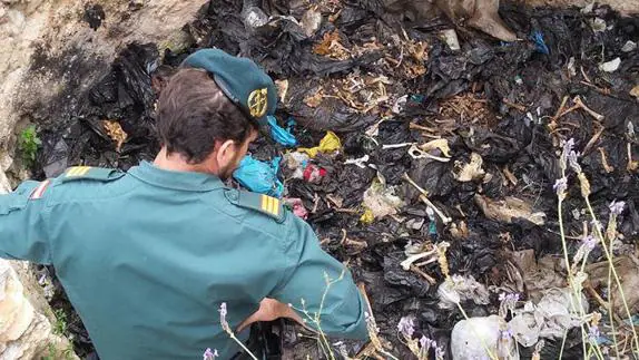 Encuentran decenas de bolsas con basura y cadáveres de perros en Torremolinos