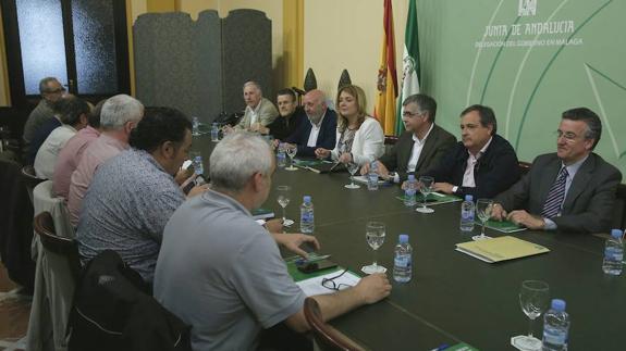 Reunión del Consejo de Salud de Área de Málaga.