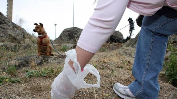 El registro genético de los perros será gratis para los primeros 5.700 desempleados que lo soliciten