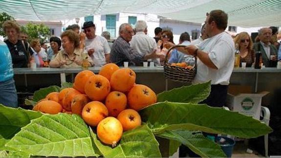 Qué hacer este fin de semana en Málaga: agenda del viernes 5 al 7 de mayo de 2017