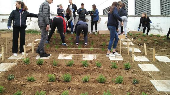 En el jardín del instituto realizando la plantación