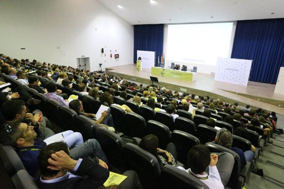 Profesores de toda España, reunidos en Málaga. 