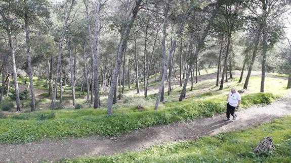 El Ayuntamiento empleará seis millones en habilitar Gibralfaro como parque