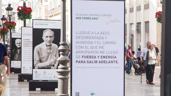 La calle Larios se convierte en un escaparate de esperanza del cáncer