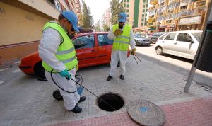Invertirán 12.000 euros en fumigar