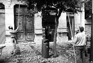 PELIGRO. Las naranjas suponen un peligro de resbalón añadido a las lluvias. / SKN