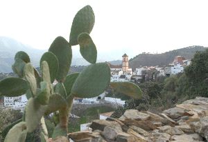 ALGATOCÍN. El suceso ocurrió en el paraje de Ventorro Solera, en la parte baja del río Genal. / F. S.