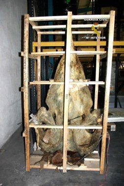 Encuentran el esqueleto de un cachalote en un contenedor