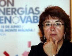 Isabel de Haro aboga por una reducción del consumo energético de los hogares. / CARLOS MORET