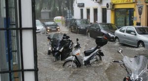 El agua llegó a alcanzar en algunas zonas más de medio metro de altura en apenas media hora. / PLT