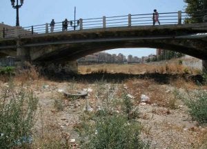 El Ayuntamiento prevé limpiar el cauce, como lo hace cada año, en las próximas semanas. / ÁLEX LOBERA