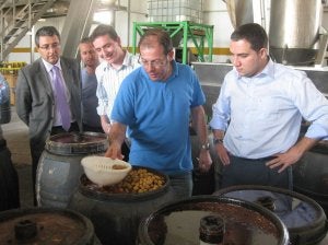 Elías Bendodo visitó una cooperativa de aceitunas.                             :: J.J.B.