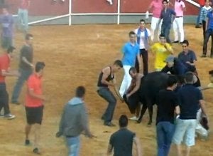 Fotogramas del vídeo captado por el Colectivo Andaluz contra el Maltrato Animal, en el que se observan las agresiones al animal. ::                             SUR