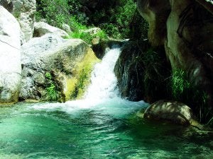 Tanto el Chíllar como el Higuerón tienen durante todo el verano suficiente agua como para poder refrescarse en algunas de sus pozas. ::
J.A.