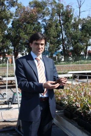 Antonio Martínez. ::
M. AGUILAR