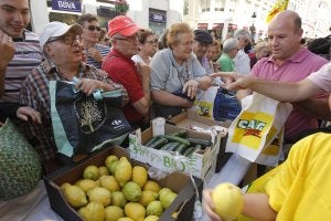 La Coordinadora de Organizaciones de Agricultores y Ganaderos regaló 4.500 kilos de productos del campo malagueño. ::                             SALVADOR SALAS