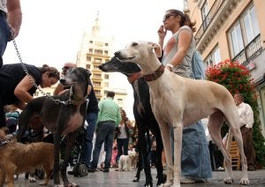 La concentración empezó a las 19.00 horas en la Plaza de la Marina. :: Álvaro Cabrera